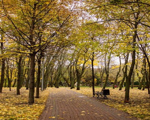Person walking in nature enjoying sunlight